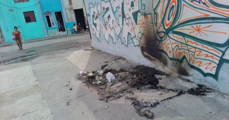 Pests: Bedbugs spread through a Havana turned into a garbage dump