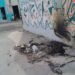 Pests: Bedbugs spread through a Havana turned into a garbage dump