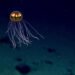 Deep-sea mining talks end without a framework… again