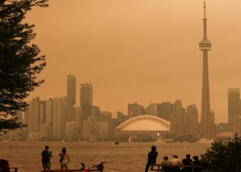 Maps Show Where Wildfire Smoke Will Darken Skies on Thursday