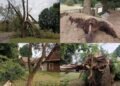The storm hit Dzūkia hard: crosses were turned into crosses, trees were broken in the vicinity of Valkininkai