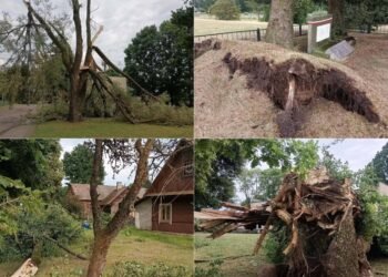 The storm hit Dzūkia hard: crosses were turned into crosses, trees were broken in the vicinity of Valkininkai