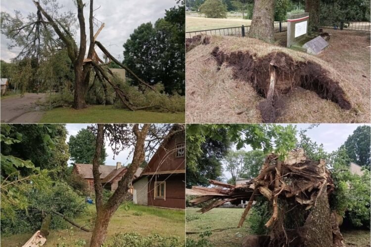 The storm hit Dzūkia hard: crosses were turned into crosses, trees were broken in the vicinity of Valkininkai