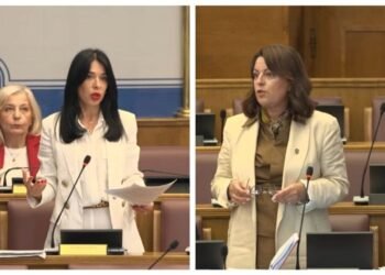 Vujović: The press was threatened even without VAT; Bojanić-Lalović: You should promote books