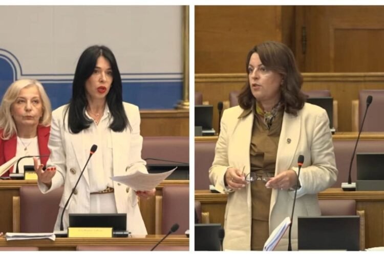 Vujović: The press was threatened even without VAT; Bojanić-Lalović: You should promote books