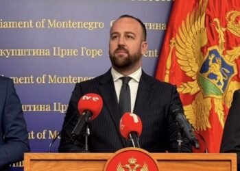 Nikolić: Amendments to the Constitution should not be separated from the overall political dialogue, we are waiting for the government’s response to the opposition’s platform