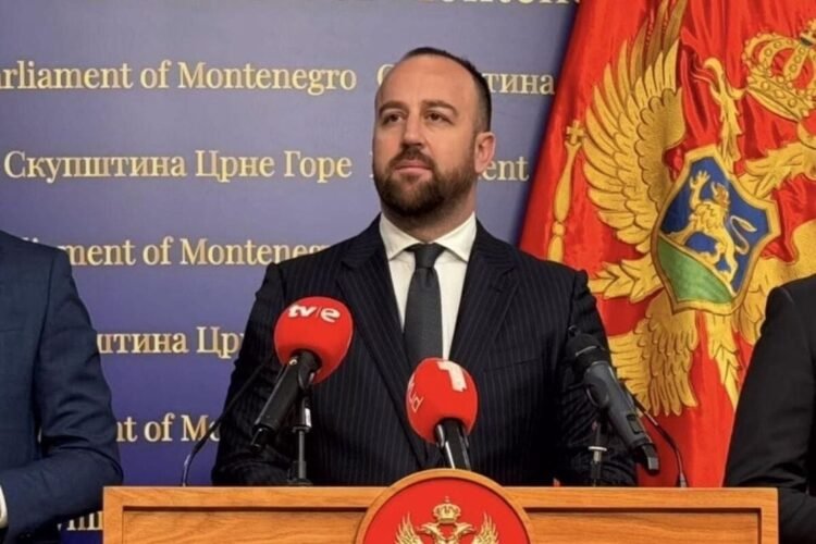 Nikolić: Amendments to the Constitution should not be separated from the overall political dialogue, we are waiting for the government’s response to the opposition’s platform