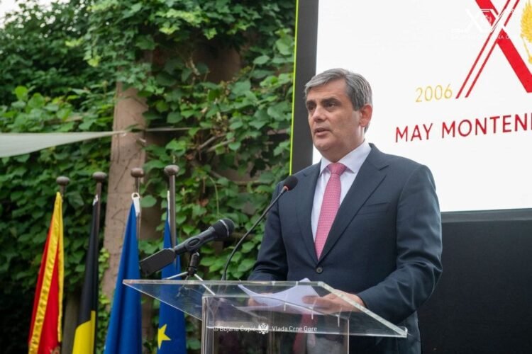 Ibrahimović at the official reception in Brussels: Montenegro is confidently moving towards the European future