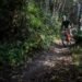 Fatal crash on Fernie, B.C., mountain bike trail shocks riding community