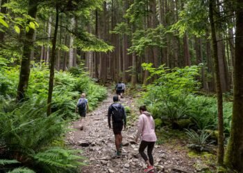 Metro Vancouver outside workers at regional parks walk off the job indefinitely