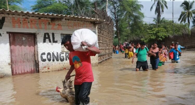 El Niño phenomenon in Peru: six interactive graphs show how much was not invested in prevention
