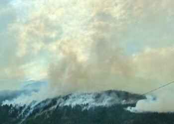 ‘Vigorous fire behaviour’ expected for B.C. wildfire complex near Boston Bar, despite slight reprieve
