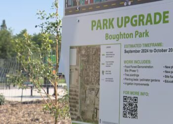 Saskatoon city hall tests food forests to address poverty, insecurity