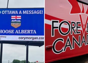 Flags and patriotic ads: Why the rules around referendum advertising are causing a stir