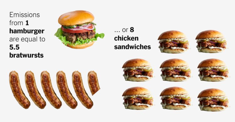 Burger vs. Bratwurst: A Climate Guide to Your July 4 Cookout