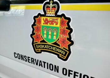 Conservation officers, RCMP investigating two wildlife-related deaths near La Ronge, Sask.