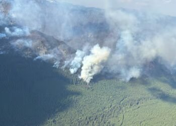 Kimberley, B.C., city of about 9,000, placed under evacuation alert as nearby out-of-control wildfire grows