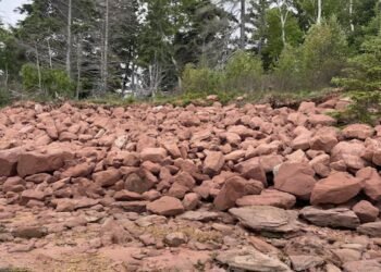 Some of P.E.I.’s oldest cemeteries are slowly being lost to the sea