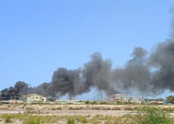 Houthis deny involvement in drone attack on gas vessels at Egypt’s Damietta
