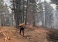 Crews called to rescue resident who defied evacuation order, B.C. Wildfire Service says