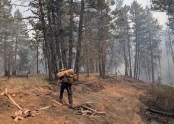 Crews called to rescue resident who defied evacuation order, B.C. Wildfire Service says