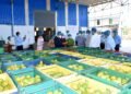 2025-26 Fruit Exports Miss Target