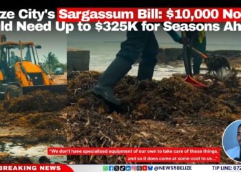 Belize City’s Sargassum Bill: $10,000 Now, Could Need Up to $325K for Seasons Ahead