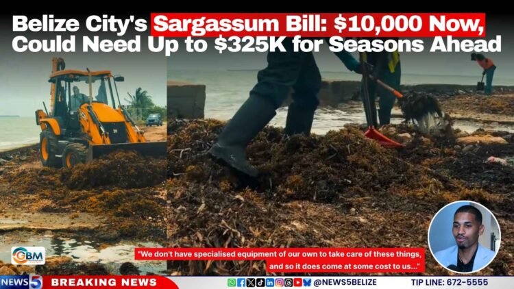 Belize City’s Sargassum Bill: $10,000 Now, Could Need Up to $325K for Seasons Ahead
