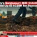 Belize City’s Sargassum Bill: $10,000 Now, Could Need Up to $325K for Seasons Ahead