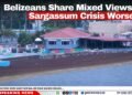 Belizeans Share Mixed Views as Sargassum Crisis Worsens