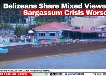Belizeans Share Mixed Views as Sargassum Crisis Worsens