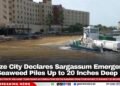 Belize City Declares Sargassum Emergency as Seaweed Piles Up to 20 Inches Deep