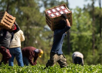 OPINION: Modern-day slavery in migrant labour markets