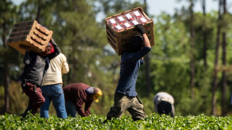 OPINION: Modern-day slavery in migrant labour markets