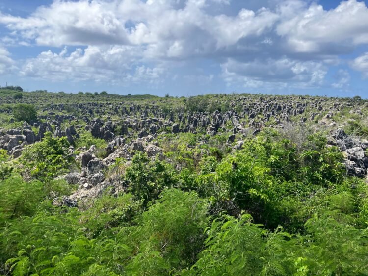 Nauru’s remarkable recent economic success