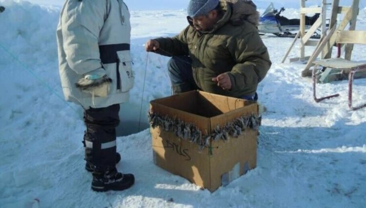 The fishermen in Qaanaaq are confident about the development opportunities
