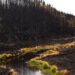 Canadian Wildfire Evacuees Outraged Over Lacking Support and Communication