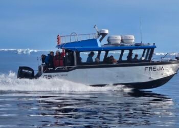 MOTOORI Tourist operator enters the boat business