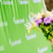 Former leader: I do not know the Estonian Greens’ worldview | News