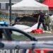 11 dead in plane crash with parachutists in France
