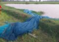 Bomb Recover: Nets were thrown to catch fish, socket bombs came up! Everyone fled in fear..