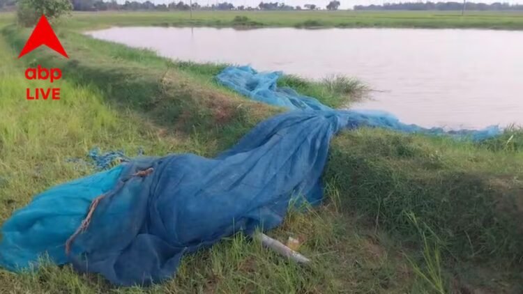 Bomb Recover: Nets were thrown to catch fish, socket bombs came up! Everyone fled in fear..
