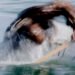 Photo essay: The Greenland Championships in Qajaq