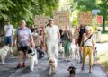 Dog owners protest proposed restrictions in Zurich’s largest off-leash zone