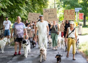 Dog owners protest proposed restrictions in Zurich’s largest off-leash zone