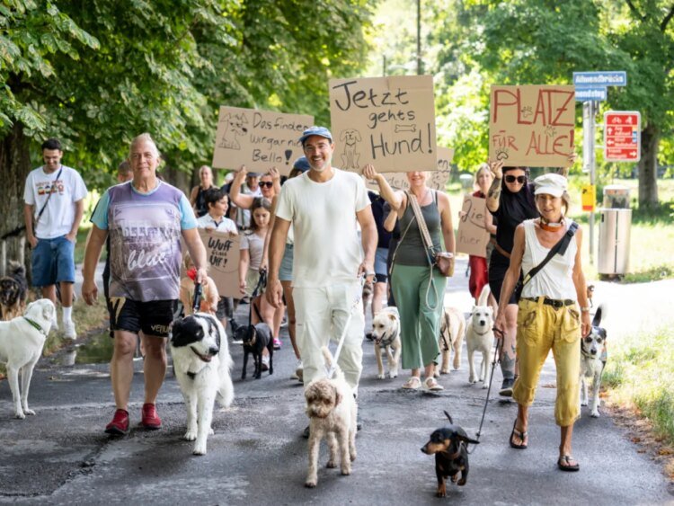 Dog owners protest proposed restrictions in Zurich’s largest off-leash zone