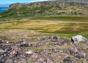 Sheep keeper in dry June: The grasslands dry out