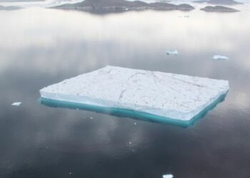 Unusually giant iceberg drifts along the east coast
