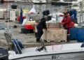 Power plant fire paralyzed fishing – now a contingency strategy is called for