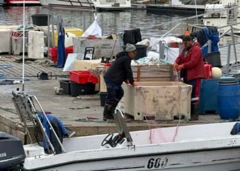 Power plant fire paralyzed fishing – now a contingency strategy is called for